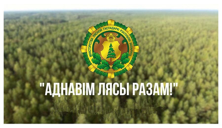 Республиканская добровольная акция «Дай лесу новае жыццё!»