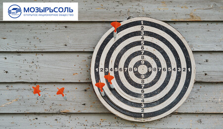 В копилку спортивных достижений ОАО«Мозырьсоль» серебро