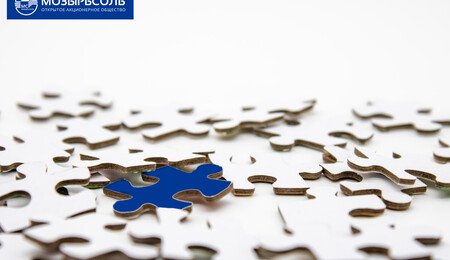 Составляющие успеха ОАО «Мозырьсоль»